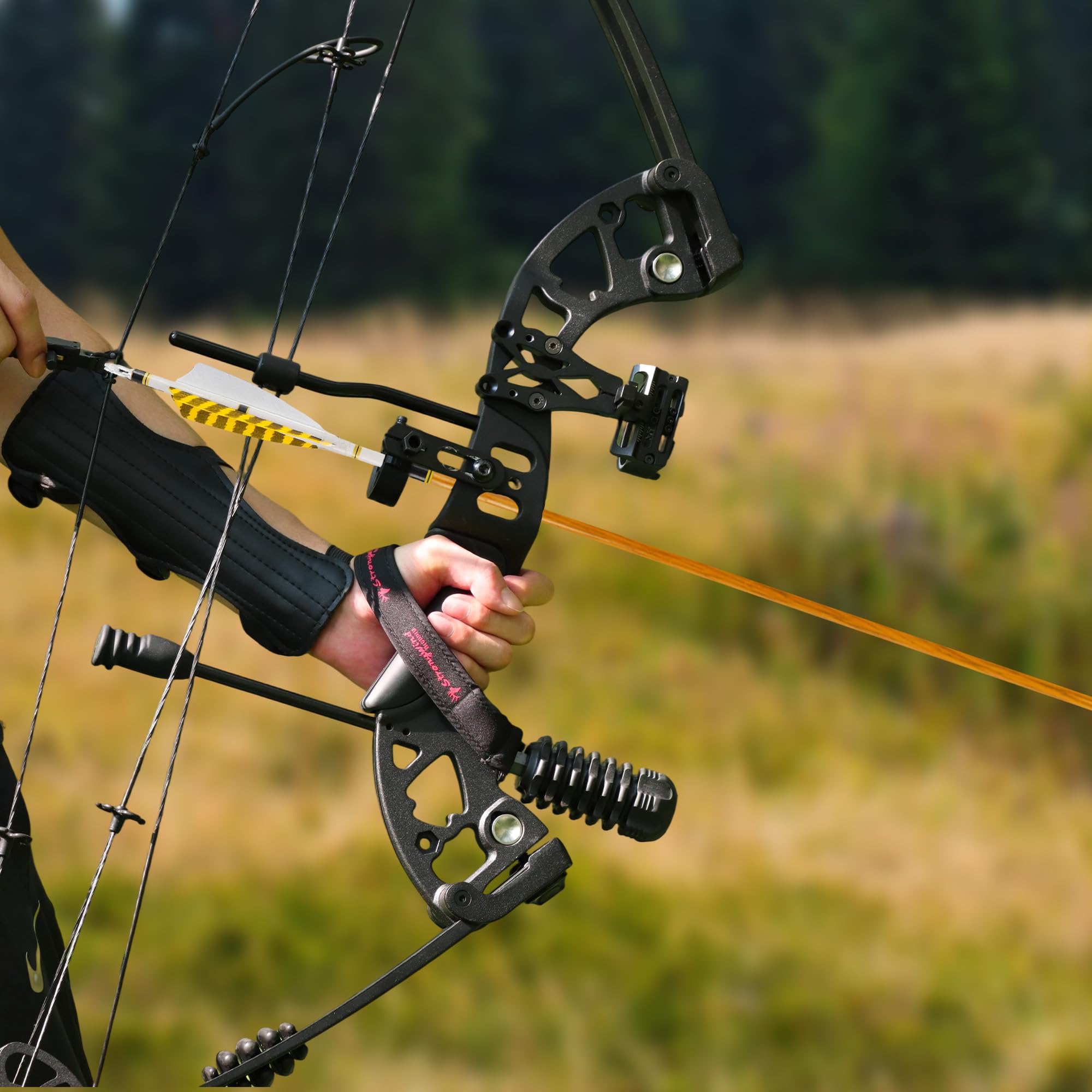 12 Flèches Carbone 31 Pouces avec Plumes Naturelles pour Tir à l'arc Adultes Recurve et Traditionnel
