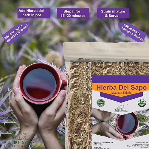 Miniatura 9 de Hierba del sapo (2.1 oz59.5 g) Eryngo heterophyllum, hierba de rana, hierba de sapo, cardo mexicano Plantas 100% naturales Té de hierbas (2.1 oz)