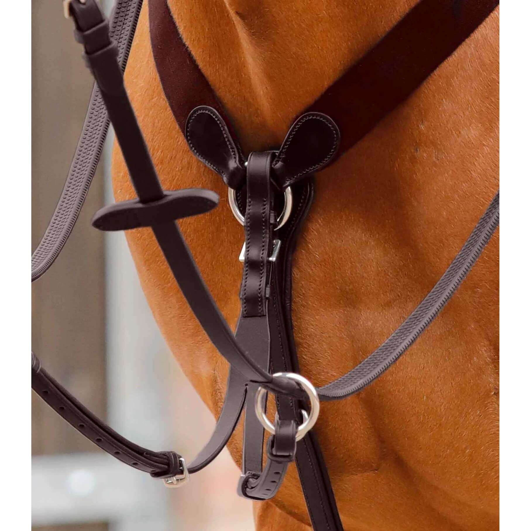 Premier Equine Martingala per Cavalli Baressa