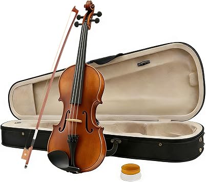 Acoustic Violin Handcrafted Solid Wood fiddle 4 String Musical Instrument violin set with Hard Case 1/2