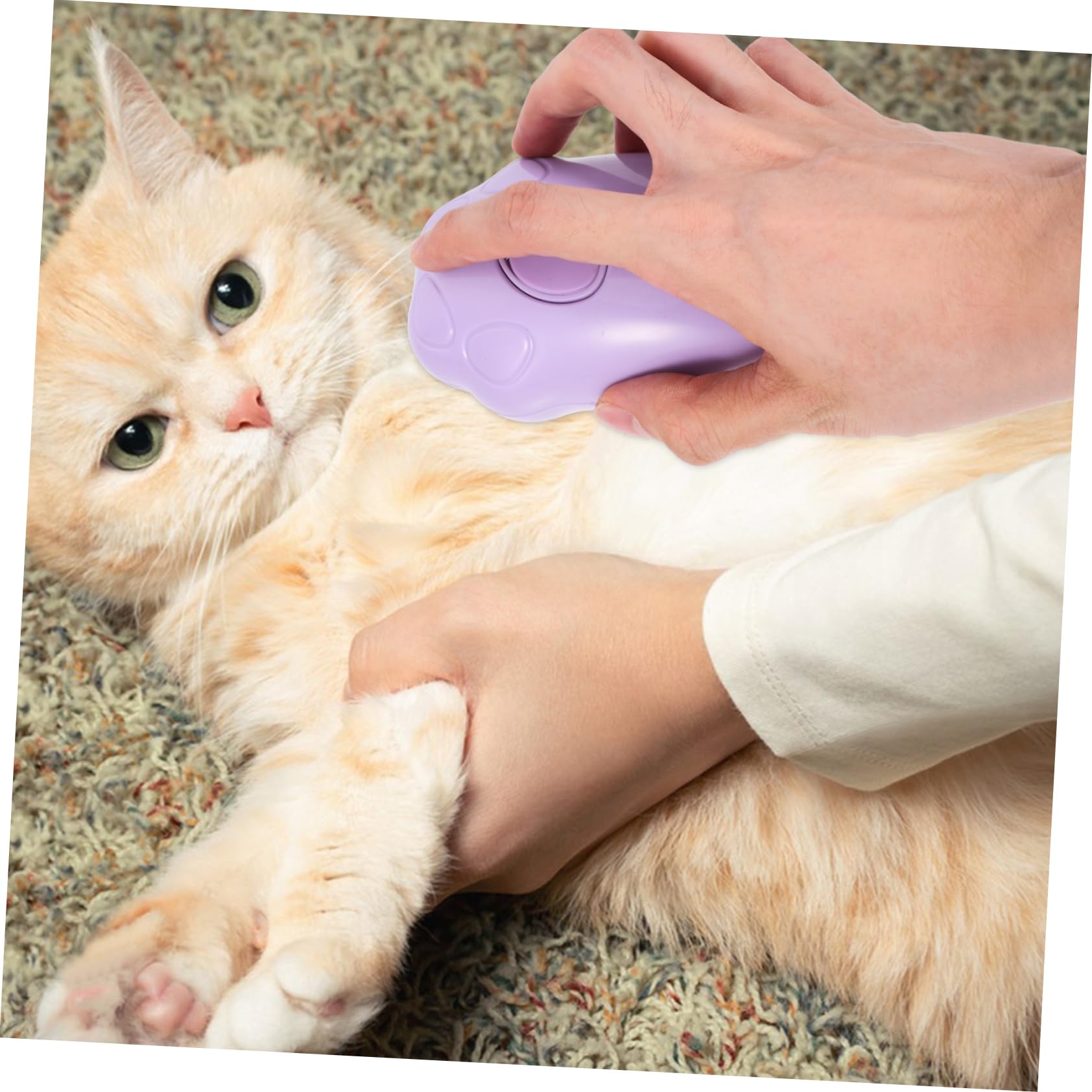 VANZACK 5piezas Cepillo De Vapor Para Gatos y Perros Multifuncional Cepillo De Masaje Autolimpiante Experiencia De Spa Casa Para Baños De Mascotas y Cuidado Del Pelaje