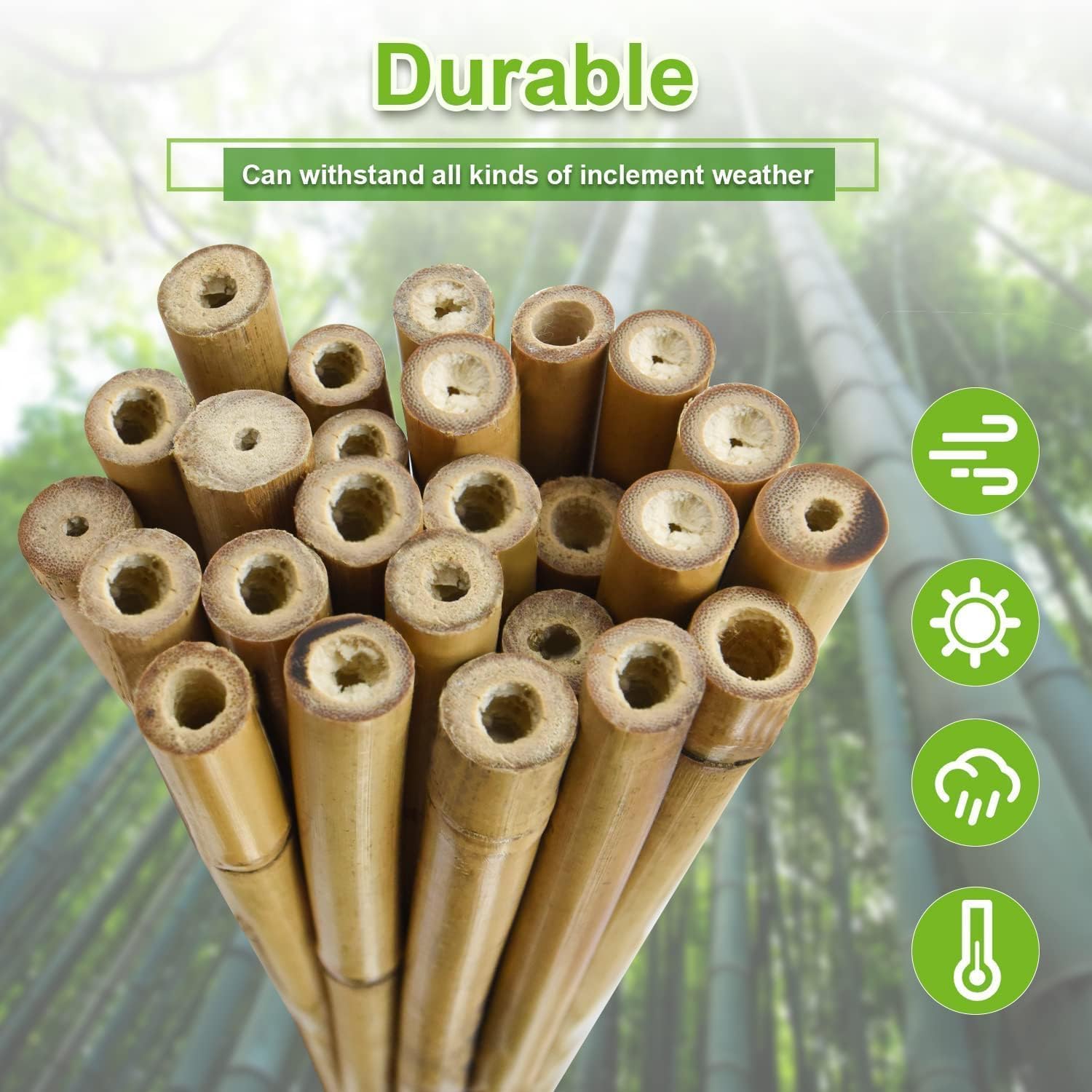 Jollybower Bambuspfähle, 2,2 cm Durchmesser, 91 cm, 50 Stück, dickere, robuste Pflanzenstecker, natürliche Gartenstecker für Bohnen, Tomaten, Bohnen, Blumen, Bäume, Töpfe und Kletterpflanzen