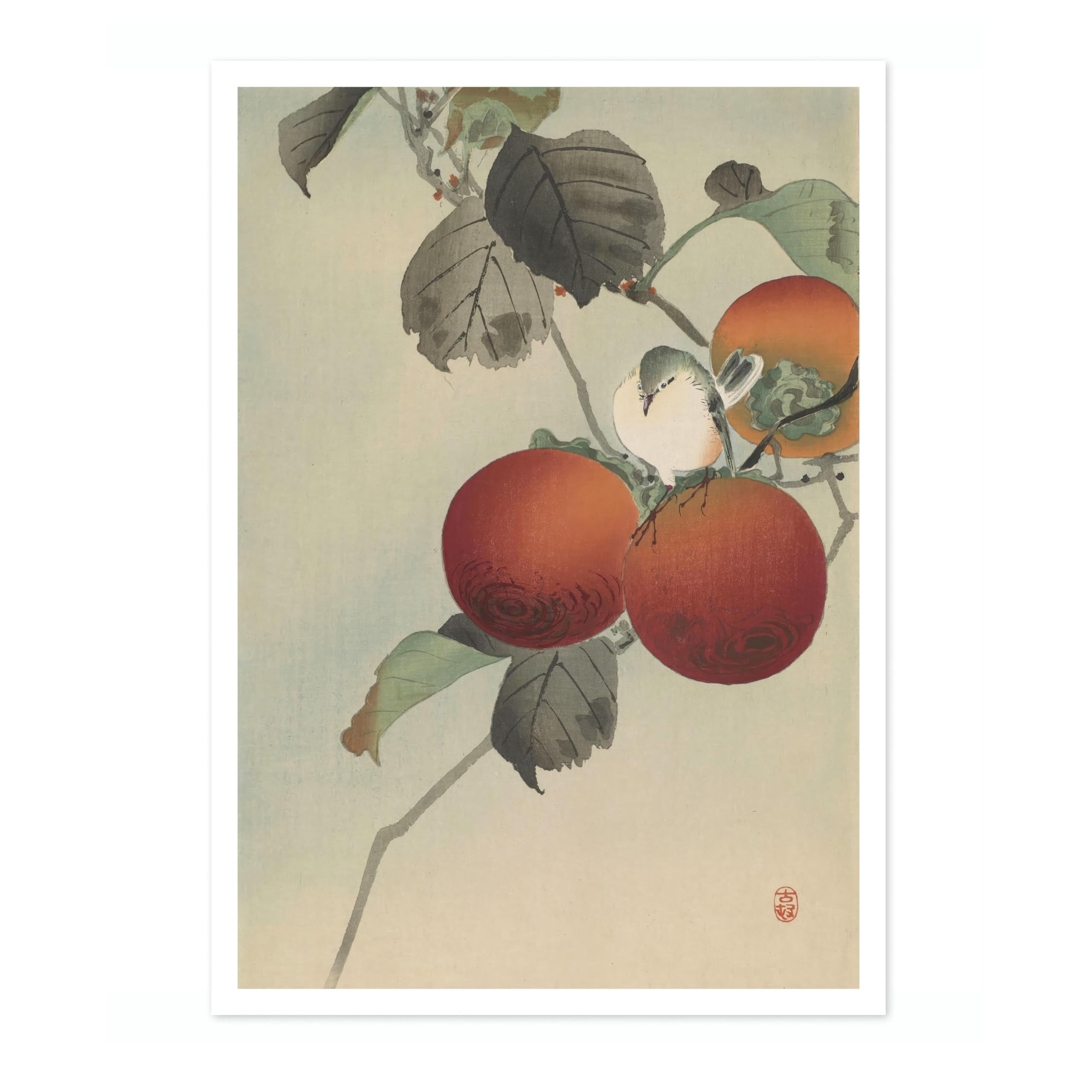 Nuthatcher Atop Persimmons Ohara Koson Poster, Japanese Woodblock Ukiyo-E Print, Vintage Bird Art Picture Animal Painting Wall Art Exhibition, Japan Birds Home Decor, 50x70cm (Print Only) - 50x70cm โ image 1