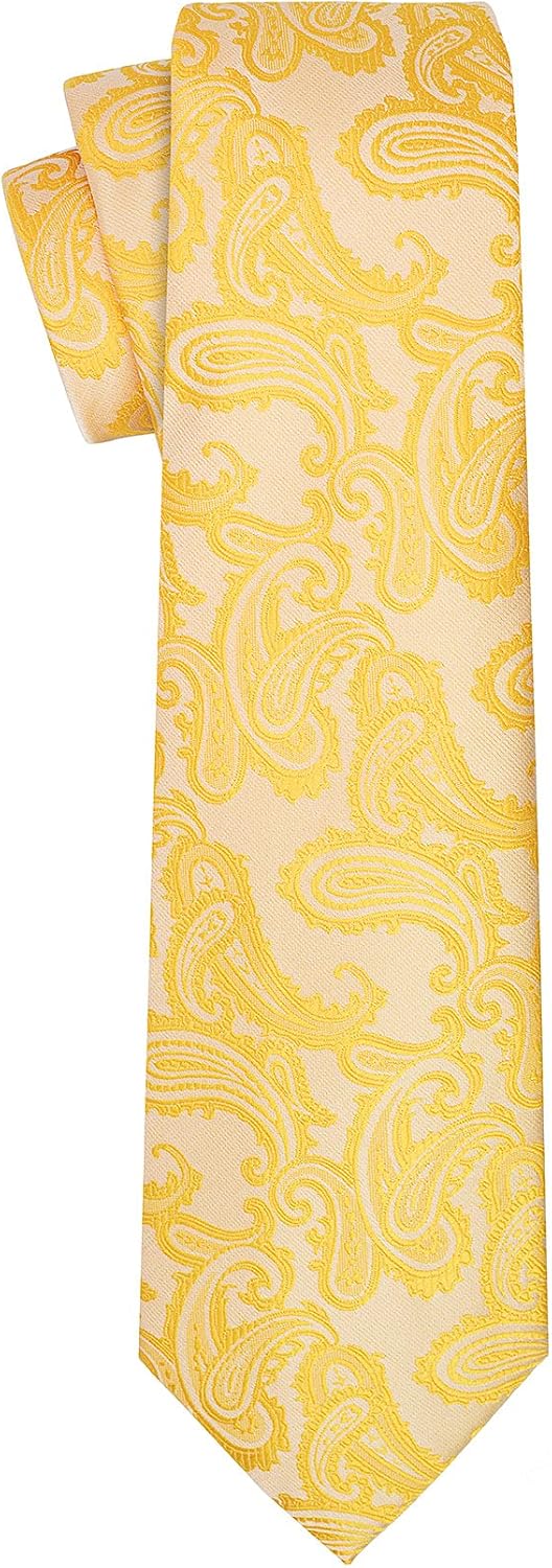 KissTies Mens Necktie Classic Paisley Event Tie + Gift Box
