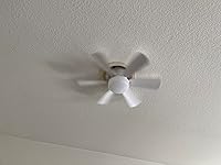 Review Image by Sandra Robinson