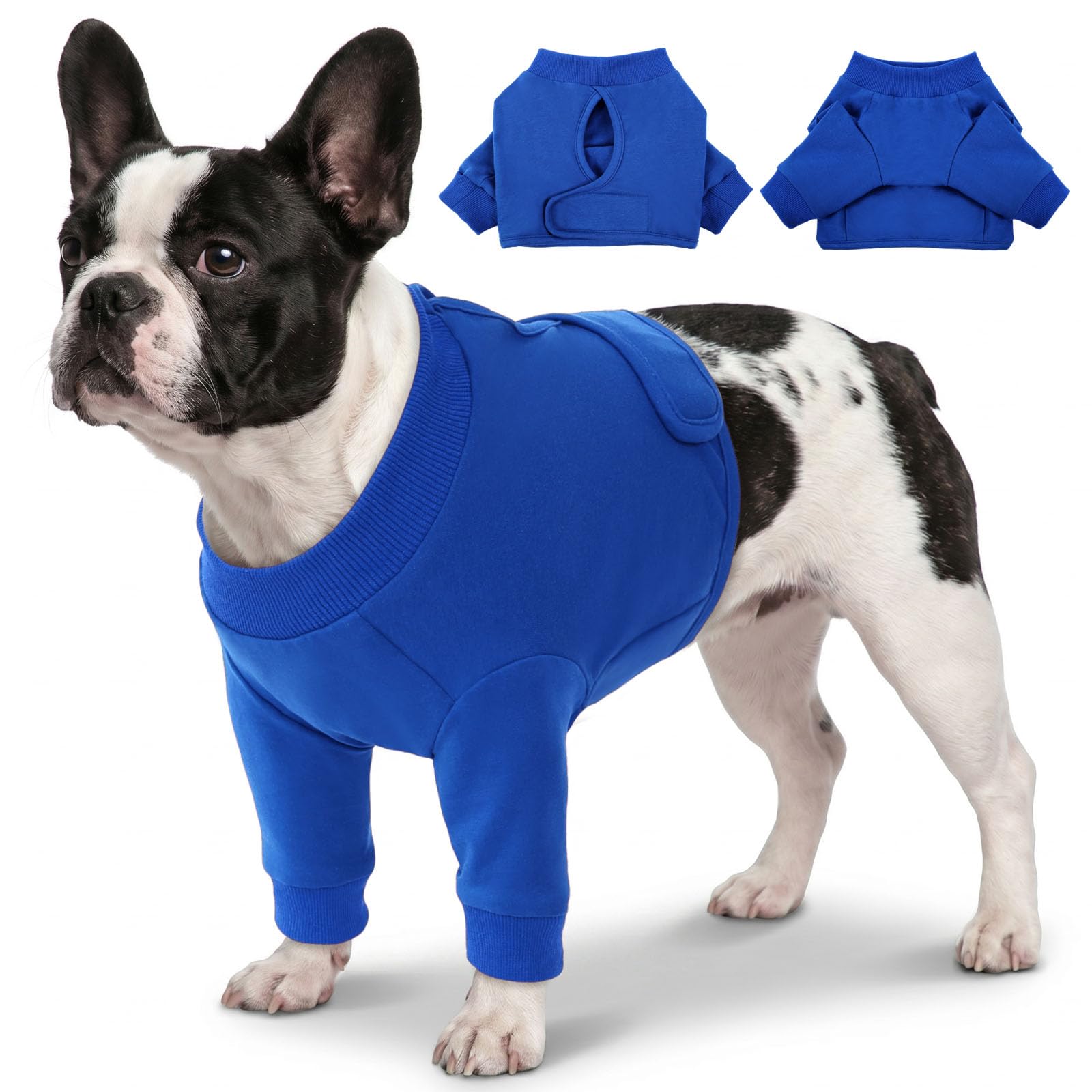 Manchon de récupération chirurgicale chien CITÉTOILE protection patte avant taille L bleu