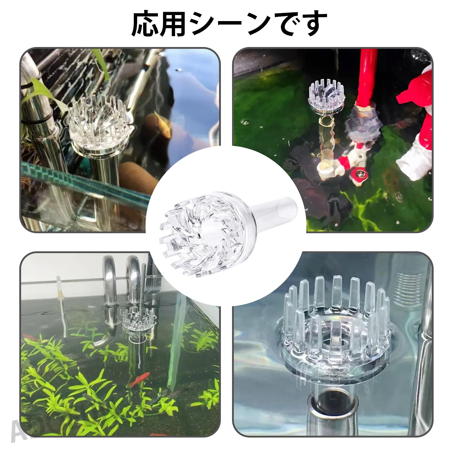 海道達磨プロテインスキマー：海道シリーズ ～神畑養魚株式会社～ 魚 
