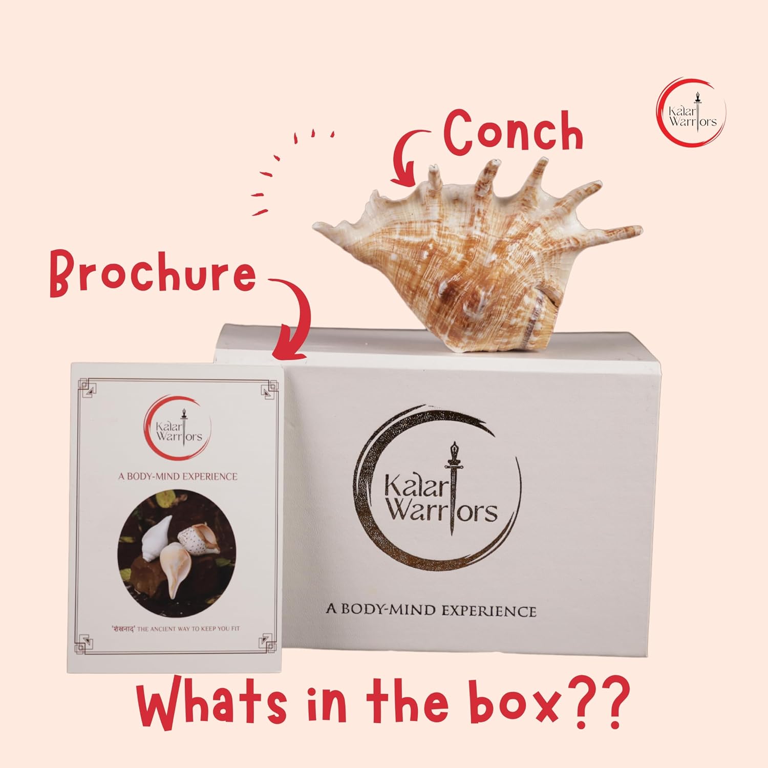 Natural Vamavarti Conch Shell Shankh | Panchmukhi Blowing Shankh for Pooja, Hindu Rituals & Home Temple | Authentic Sea Shell | Brown