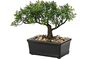 Petite Faux Juniper Bonsai Tree - Home Tabletop Decor