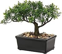 Briful Artificial Juniper Bonsai Tree in Ceramic Pot - Realistic Fake Indoor Plant for Desk Shelf Office Home Decor Small Medium Large
