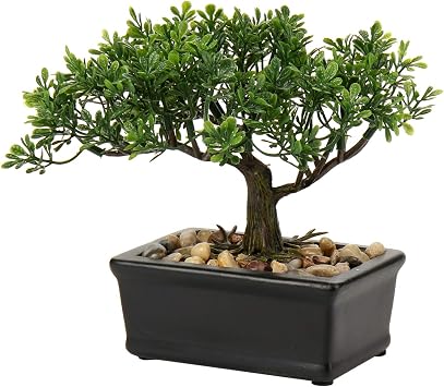 Hollyone 6.5" Artificial Bonsai Tree Fake Potted Plant, Japanese Bonsai Decoration Faux Podocarpus Artificial Plants Indoor Planter Trees for Home D cor, Desk, Table, Office