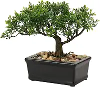 Bonsai artificial de zimbro, plantas falsas para ambientes internos, pequenas plantas falsas, decoração com vasos de cerâmica para casa, mesa, escritório, banheiro, prateleira, quarto, sala de estar,