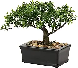 Bonsai artificial de zimbro, plantas falsas para ambientes internos, pequenas plantas falsas, decoração com vasos de cerâmica para casa, mesa, escritório, banheiro, prateleira, quarto, sala de estar,