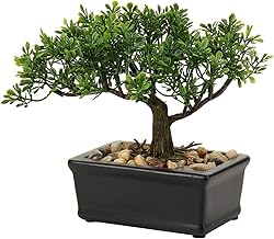 Hollyone 6.5" Artificial Bonsai Tree Fake Bonsai Tree Indoor Plant, Japanese Bonsai Decoration Faux Podocarpus Plants Artificial Plants Indoor Bonsai Tree for Home Décor, Desk, Table, Office