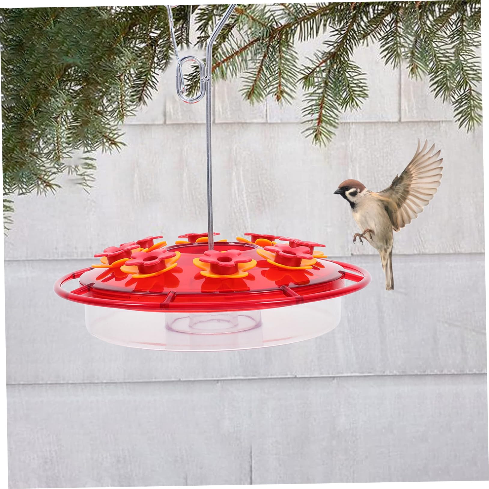 Comedero Colgante para Pájaros Bebedero Decorativo para Colibríes y Pájaros