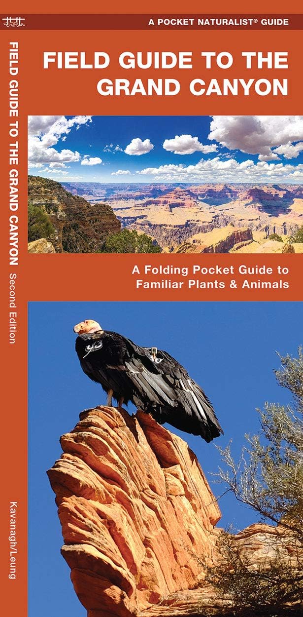Grand Canyon, Field Guide to the, 2nd Ed: A Folding Pocket Guide to Familiar Plants & Animals (Nature Observation North America)