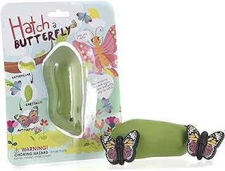Boxer Gifts Hatch Your Own Butterfly Childrenâ€™s Toy | Grows in Water | Fun Birthday for Girls