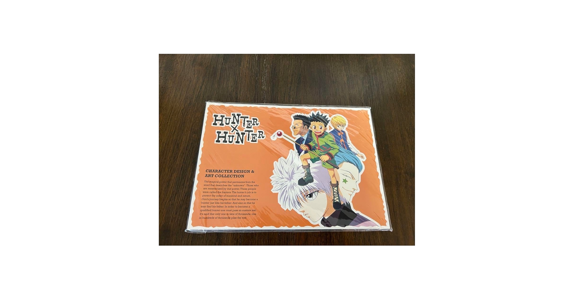 ハンターハンター　設定資料集 Amazon.co.jp: HUNTER×HUNTER ハンター ハンター アニメ 設定