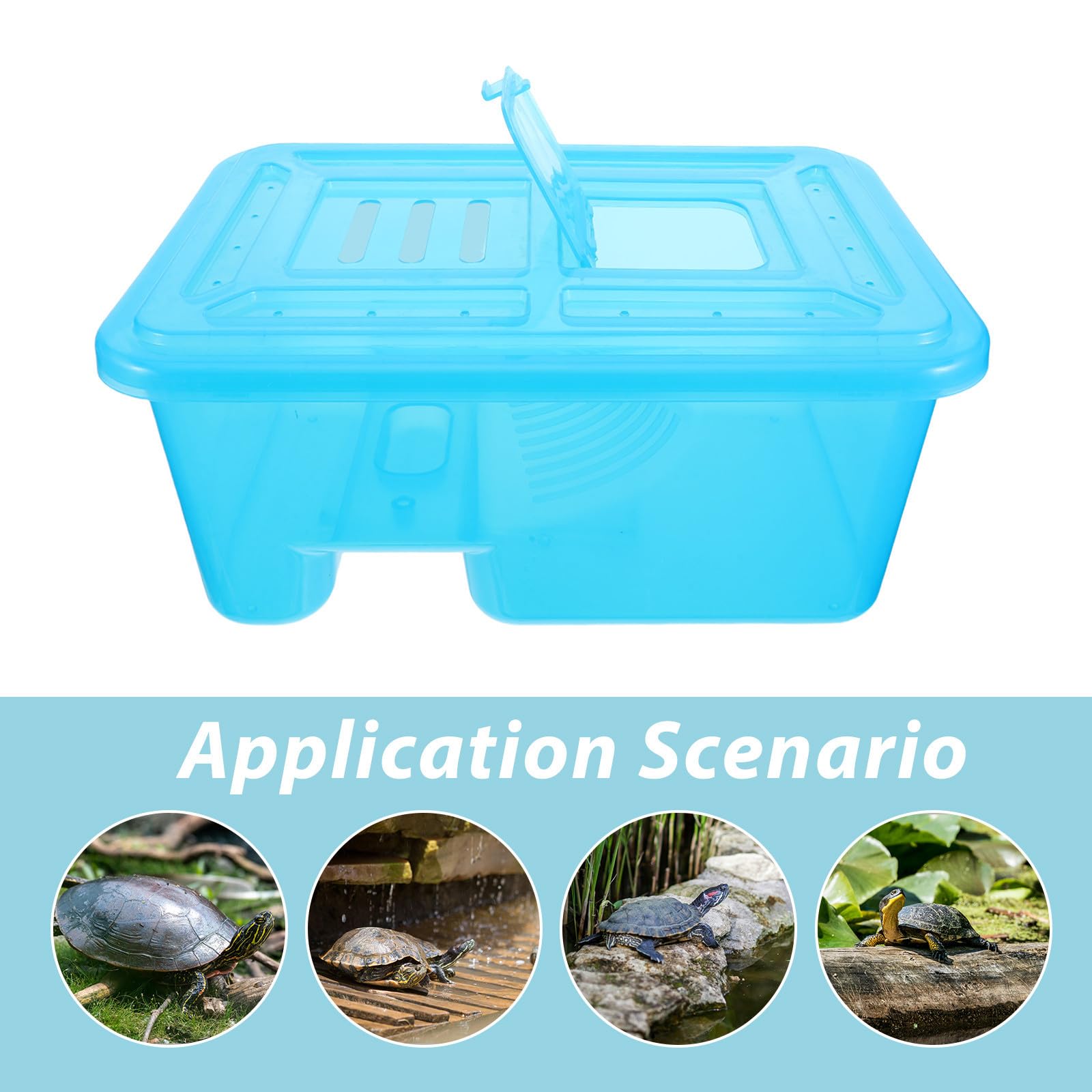 Lurrose Terrario Che Separa Acqua e Zona Asciutta in ABS per Tartarughe con Piattaforma Solare Rimovibile e Base Allargata, Design Trasparente per Spazi Piccoli e Davanzali
