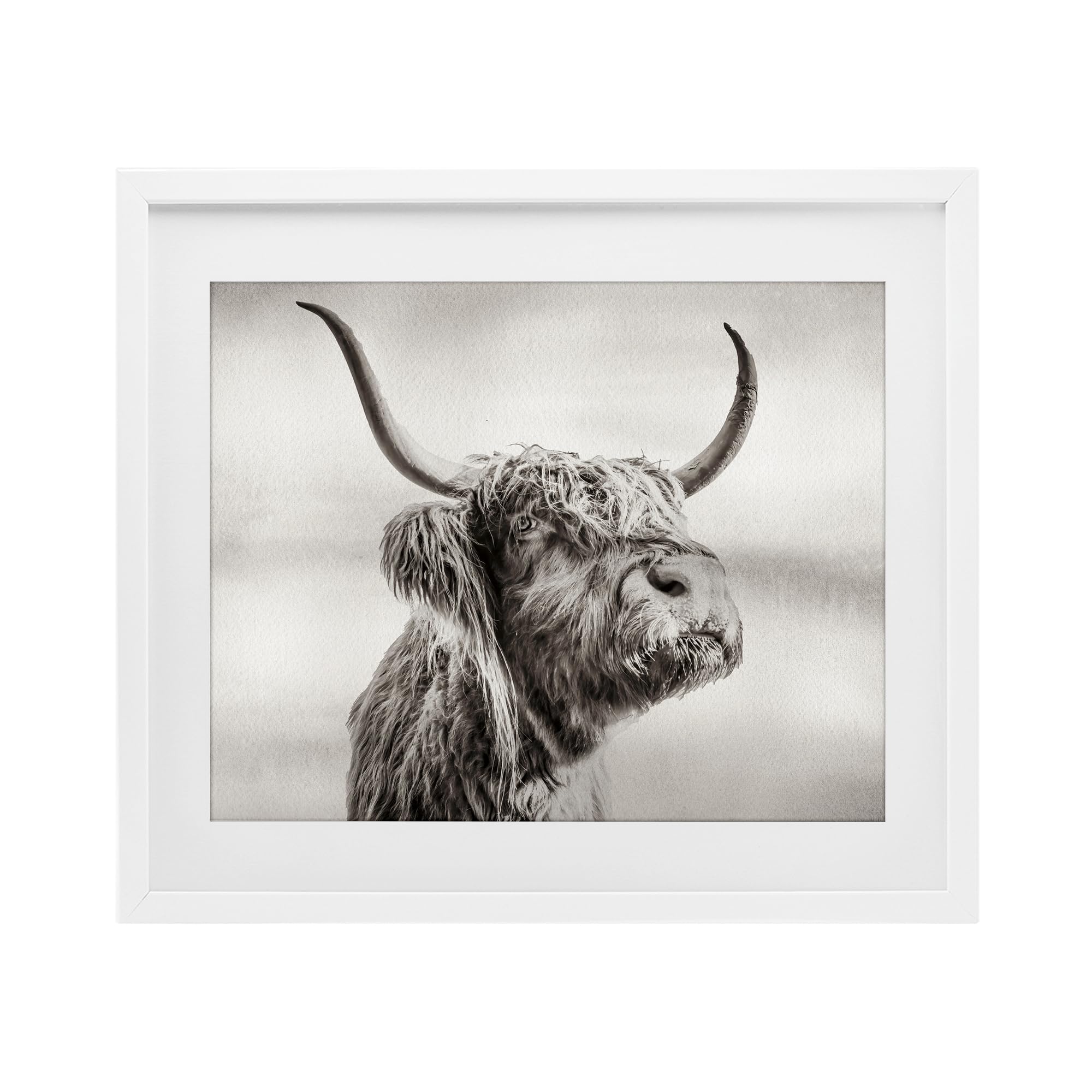 Stupell Industries Coastal White (Textured) 'Horned Highland Cow Gazing'| Framed Print Under Glass