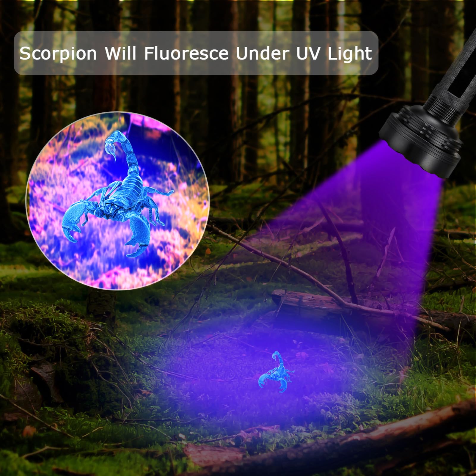 DOUQIFEI UV Flashlight Black Light - Image 2