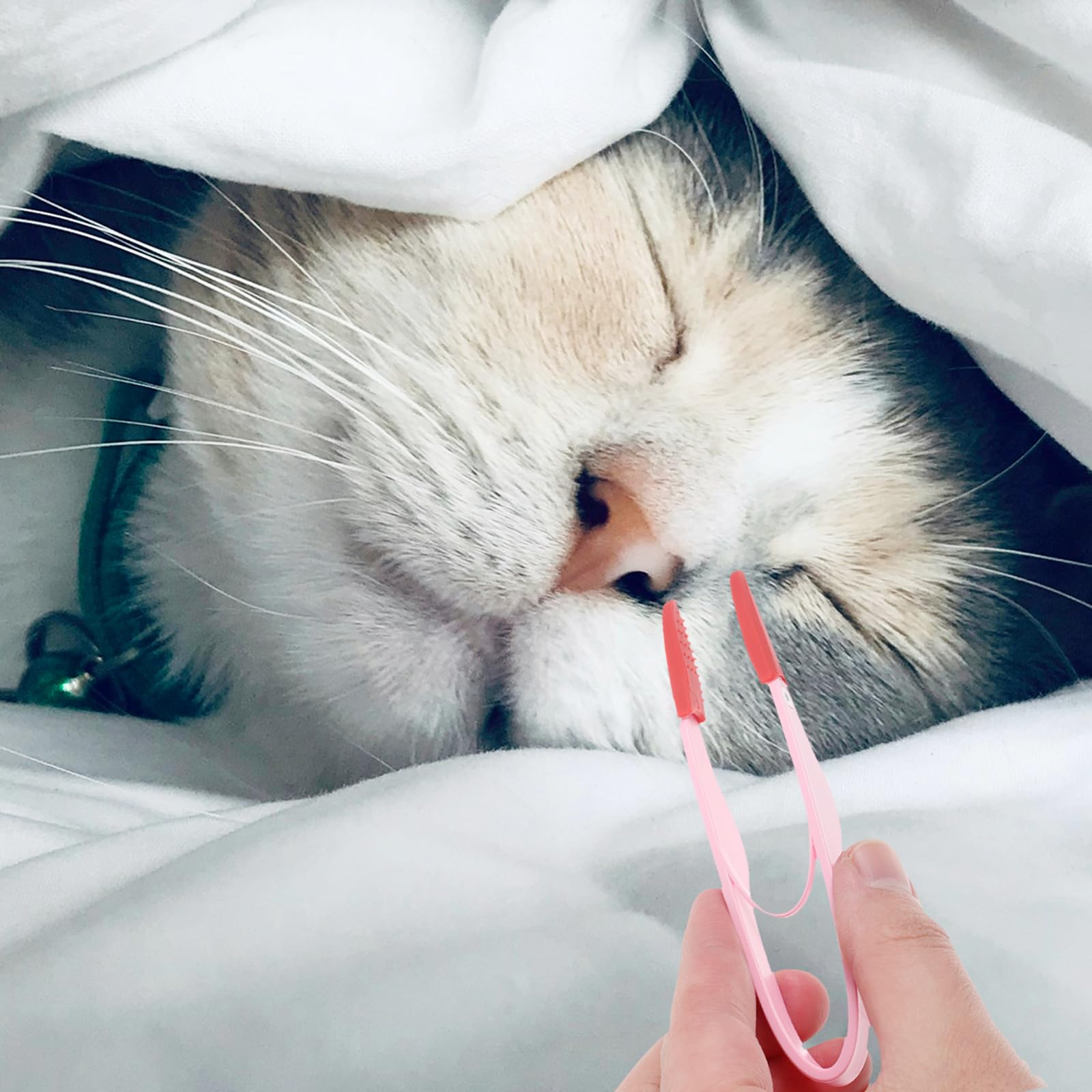 Pet Tear Stain Remover Brush Dog Eye Cleaning Comb Pet Grooming Brush Soft Washable Tear Marks Remover Eye Care Grooming Supplies - Image 2