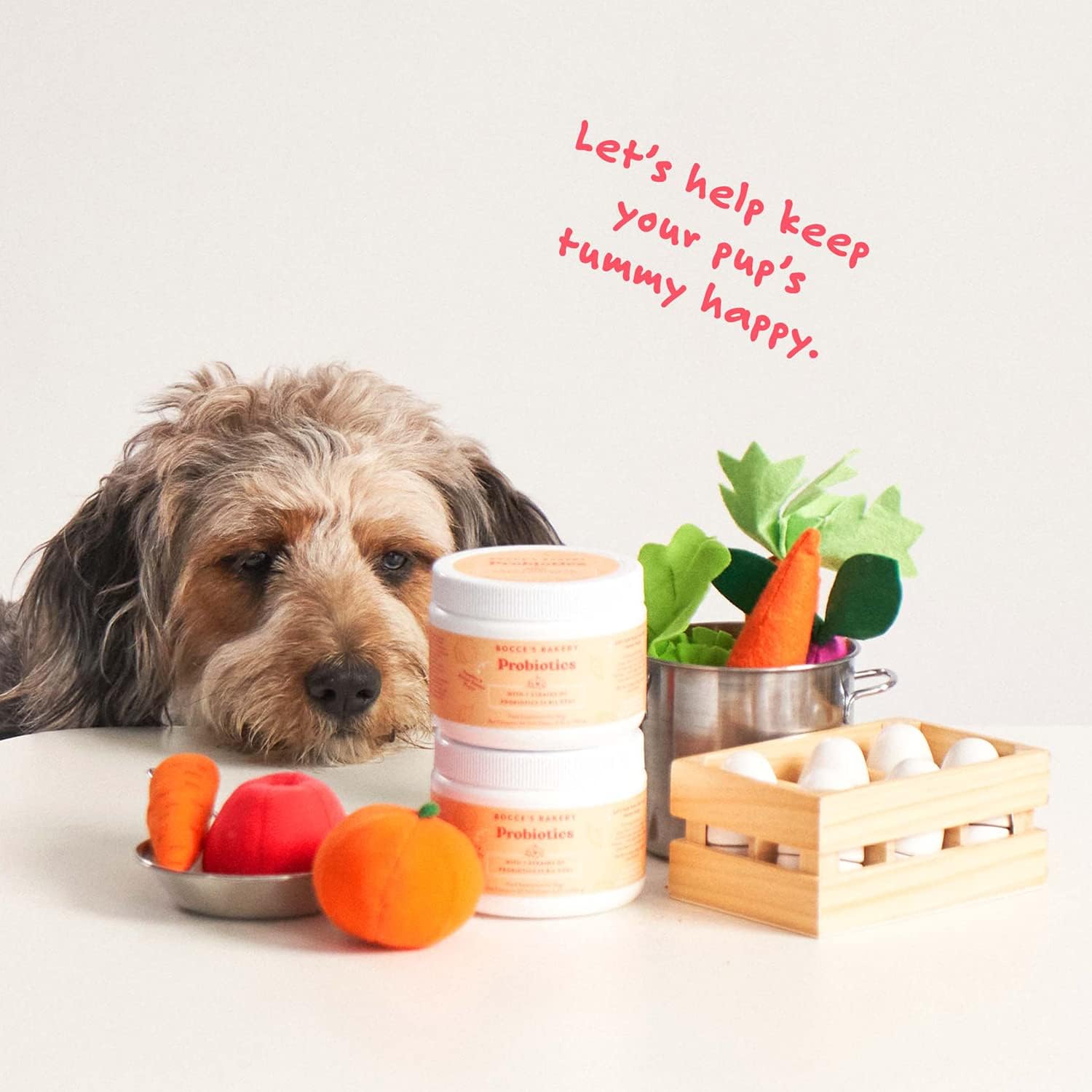 Bocce's Bakery Probiotic Supplement for Dogs, Daily Chews, Made in The USA with with 7 Strains of Probiotics, Supports Digestion, Pumpkin & Sweet Potato, 60 ct, Orange (DG-SP-PRO60) : Everything Else