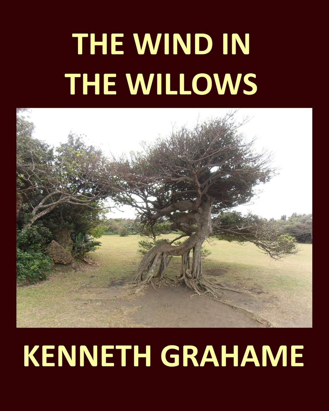 THE WIND IN THE WILLOWS KENNETH GRAHAME Large Print