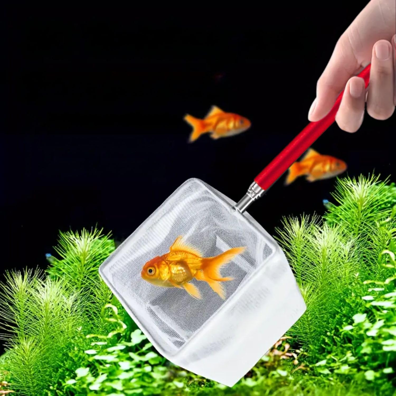 VAYINATO® Extendable (14~50cm) Stainless Steel Handle Small Fish and Shrimp Catching Net for Aquarium Fish Tank | Rust Proof and Durable in Use by Petzlifeworld (B0CJVCV3VY) Amazon Price History, Amazon Price Tracker
