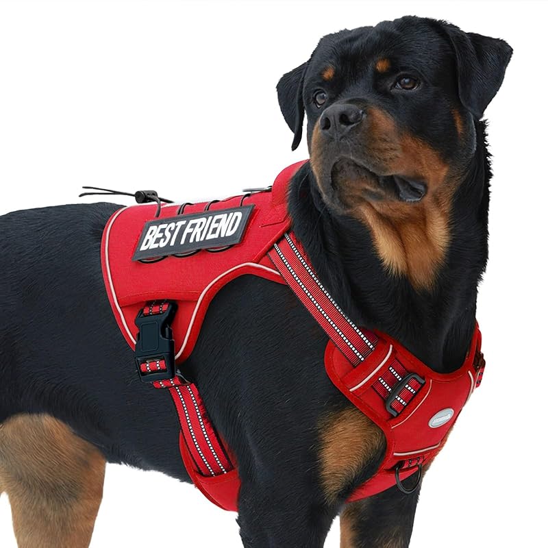 Peitoral tático anti-puxão para cães grandes AUROTH em nylon com sistema MOLLE, XL Red
