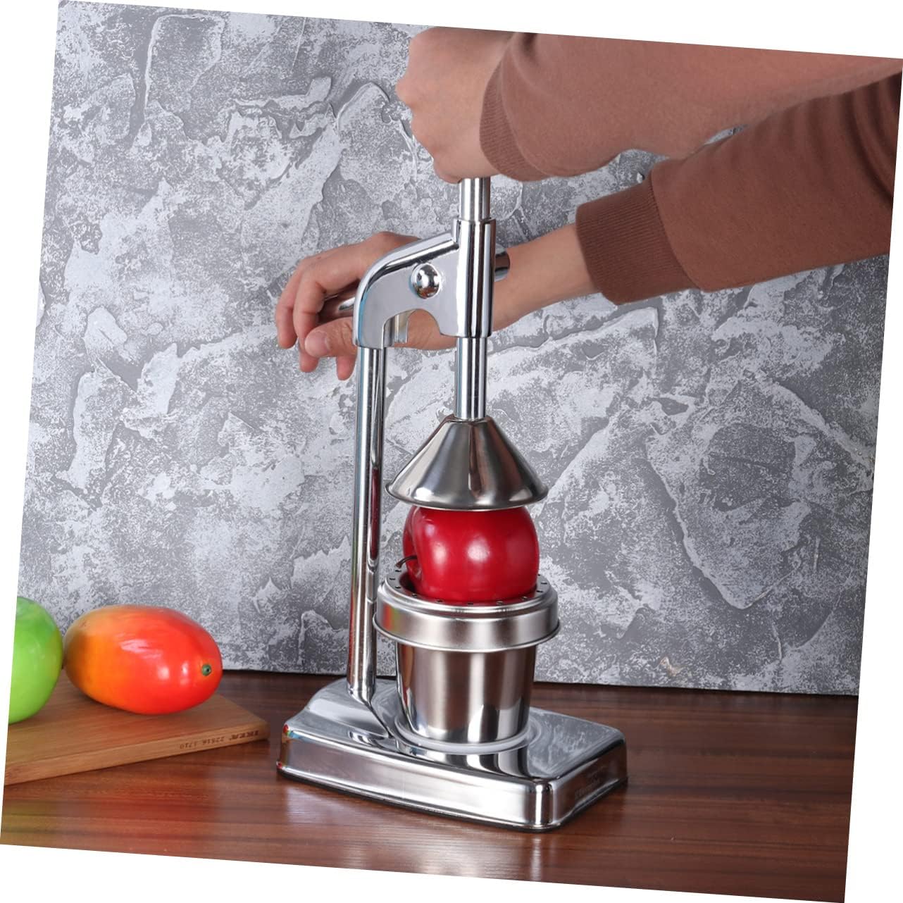 DECHOUS Manual Juice Extractor Machine Fruit and Vegetable Squeezer Stainless Steel Easy Cleaning No Power