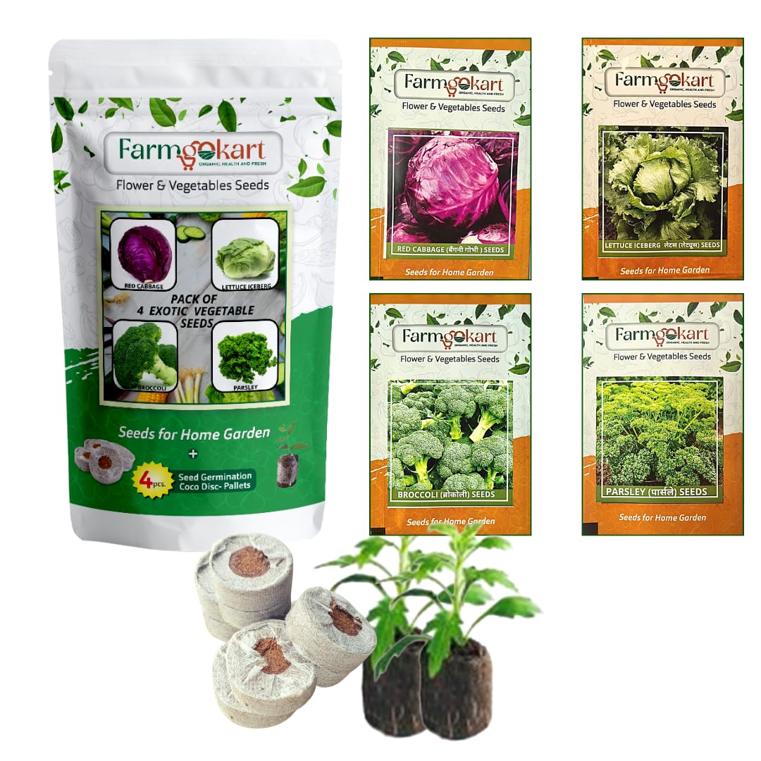 Farmgokart Combo Pack Of 4 Exotic Vegetable Seeds | RED CABBAGE, LETTUCE ICEBERG, BROCCOLI & PARSLEY | Easy To Grow | Best Suitable For Terrace And Home Gardening | With 4 Coco Disc - (VC-21) (B09PJGQM18) Amazon Price History, Amazon Price Tracker