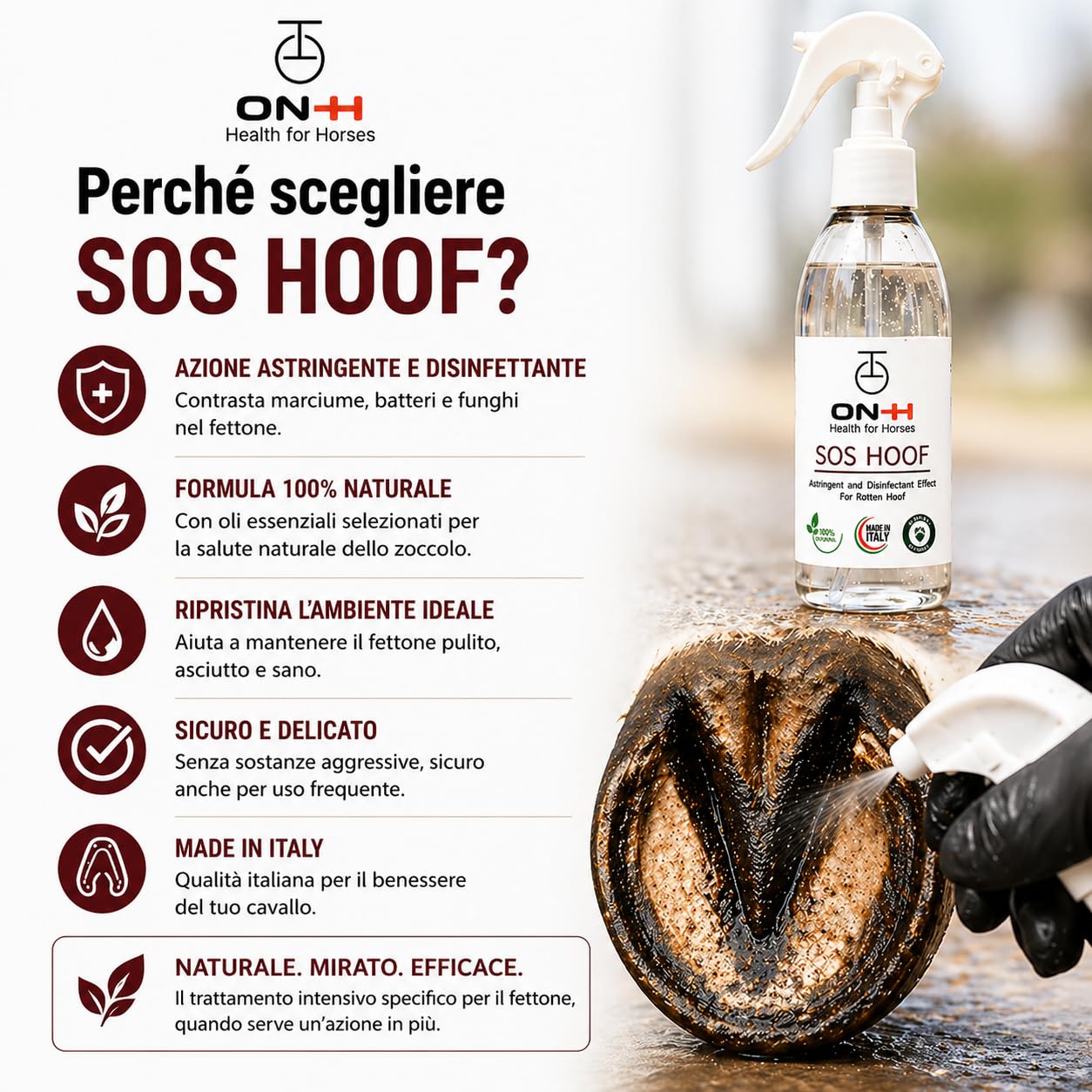 ON-H SOS Hoof Soluzione per Zoccoli Cavalli 200 ml | Igienizzante per Zoccoli Cavallo | Aiuta a Contrastare Marcimento e Impurità | Protezione Suola e Muraglia | Ideale per uso quotidiano in Scuderia
