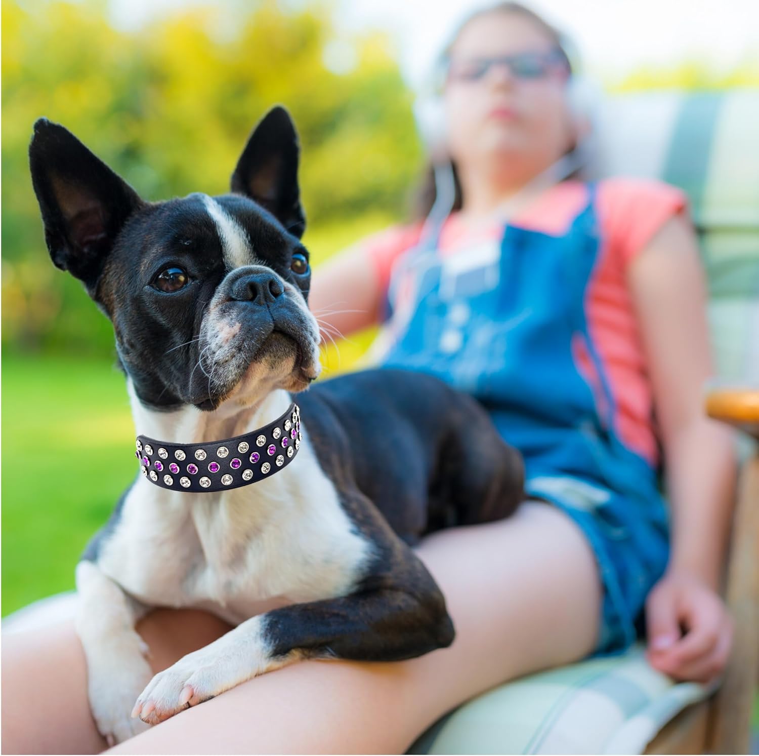 Designer Diamond Rhinestone Dog Collar - Fancy Bling Luxury Microfiber Leather Sparkly Cute Studded Adjustable Length for All Breeds Size S M L (Large 16"-20", Purple | Clear White Crystals)