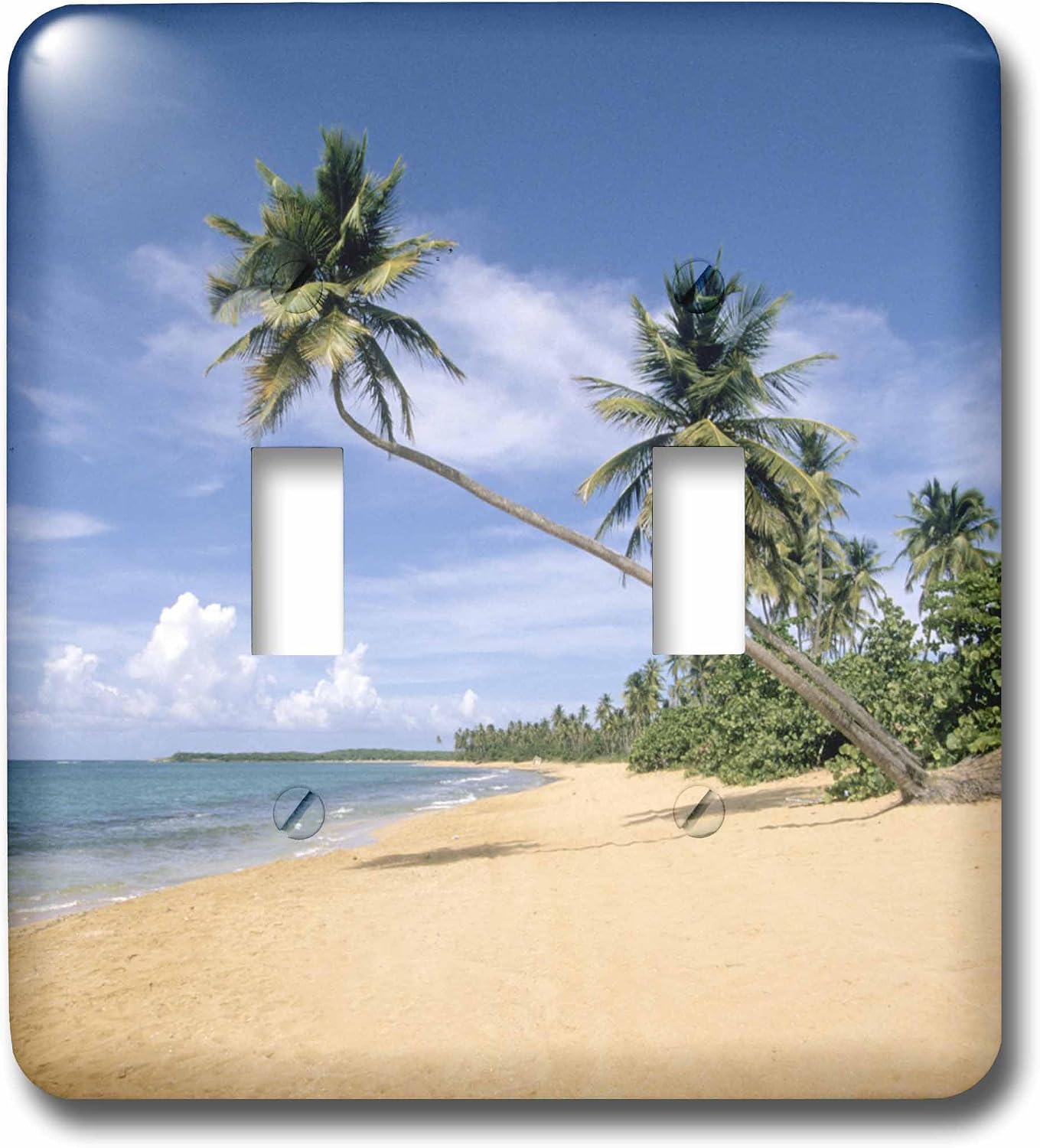 3dRose LLC lsp_74495_2 Tropical Beaches of Puerto Rico-Ca27 Mde0002 Michael Defreitas Double Toggle Switch