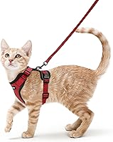 Vista 53 de rabbitgoo Cat Harness and Leash for Walking, Escape Proof Soft Adjustable Vest Harnesses for Cats, Easy Control Breathable Reflective Strips Jacket
