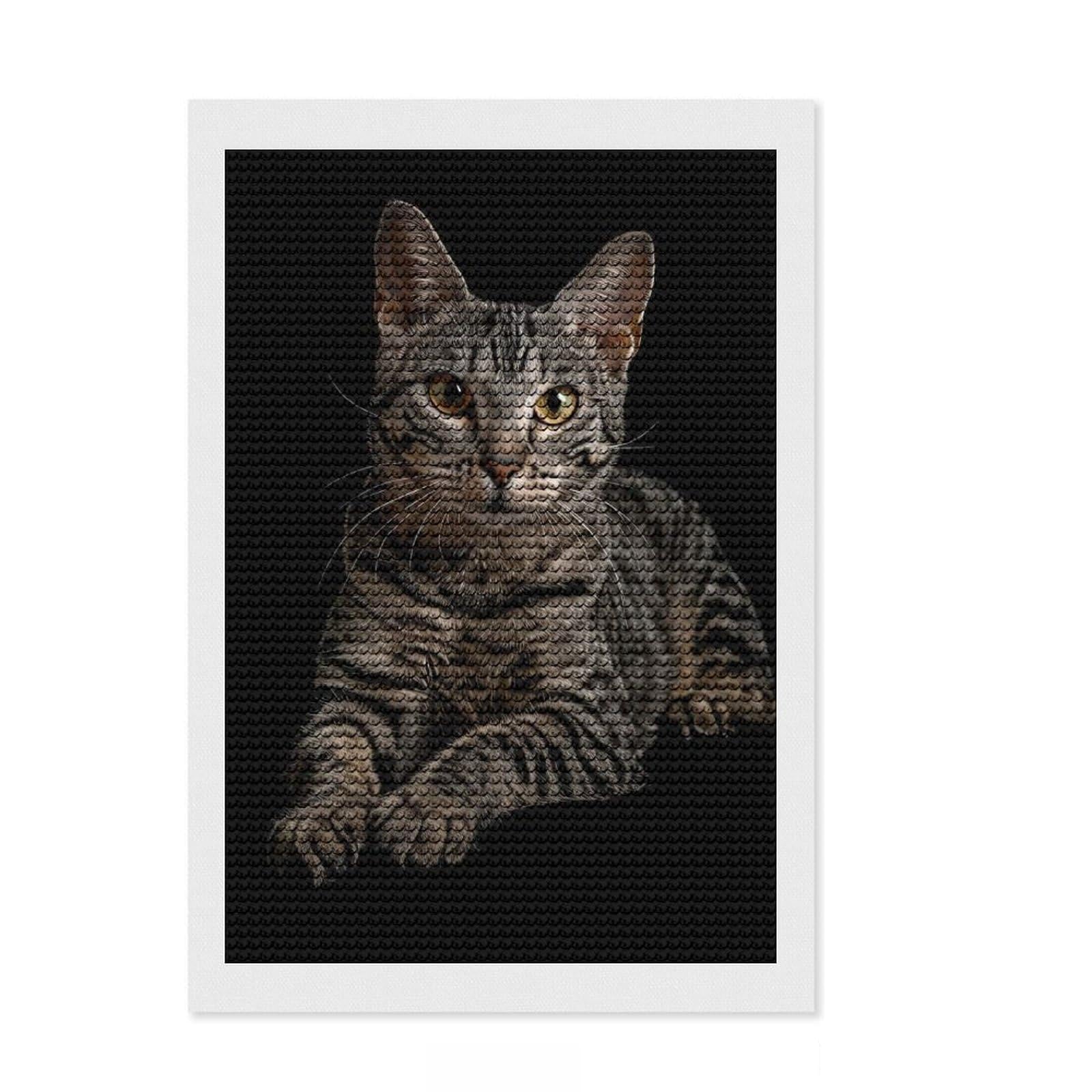 Junmoney Egyptian Mau Diamond Painting Set 8"x12", for Craft Lovers, Farmhouse Decor, Pleasing Wall Art Project, Christmas Gift