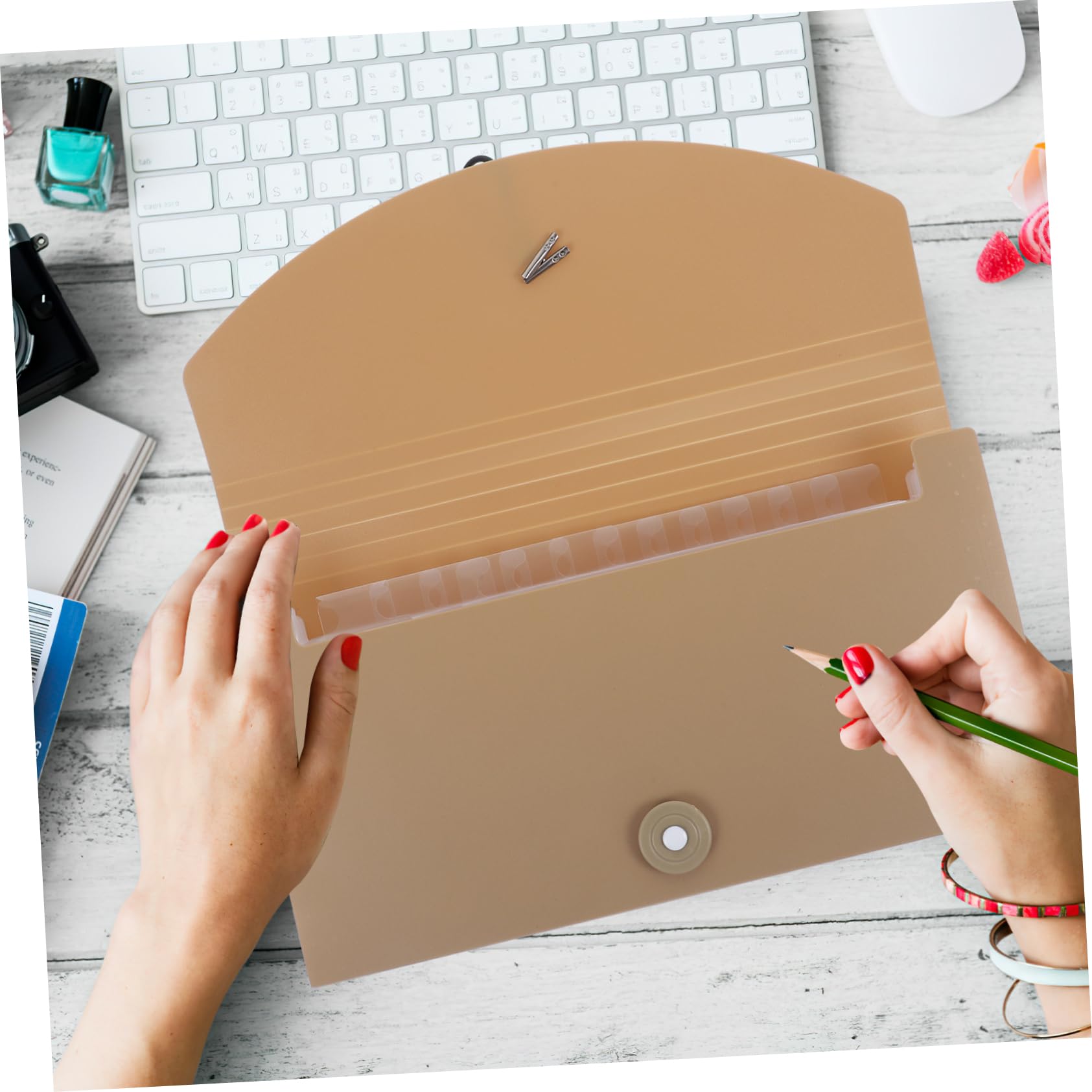 Homoyoyo Cartella Espandibile Per Documenti in Plastica Pp Organizer Fisarmonica e Etichette Colorate Per Classificare File Protetti Impermeabilmente
