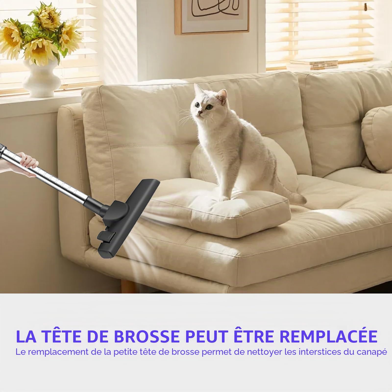 Aspirateur 2000 W, sac, filtre hygiénique, forte puissance, extrêmement silencieux, brosse pour parquet et tapis, filtre
