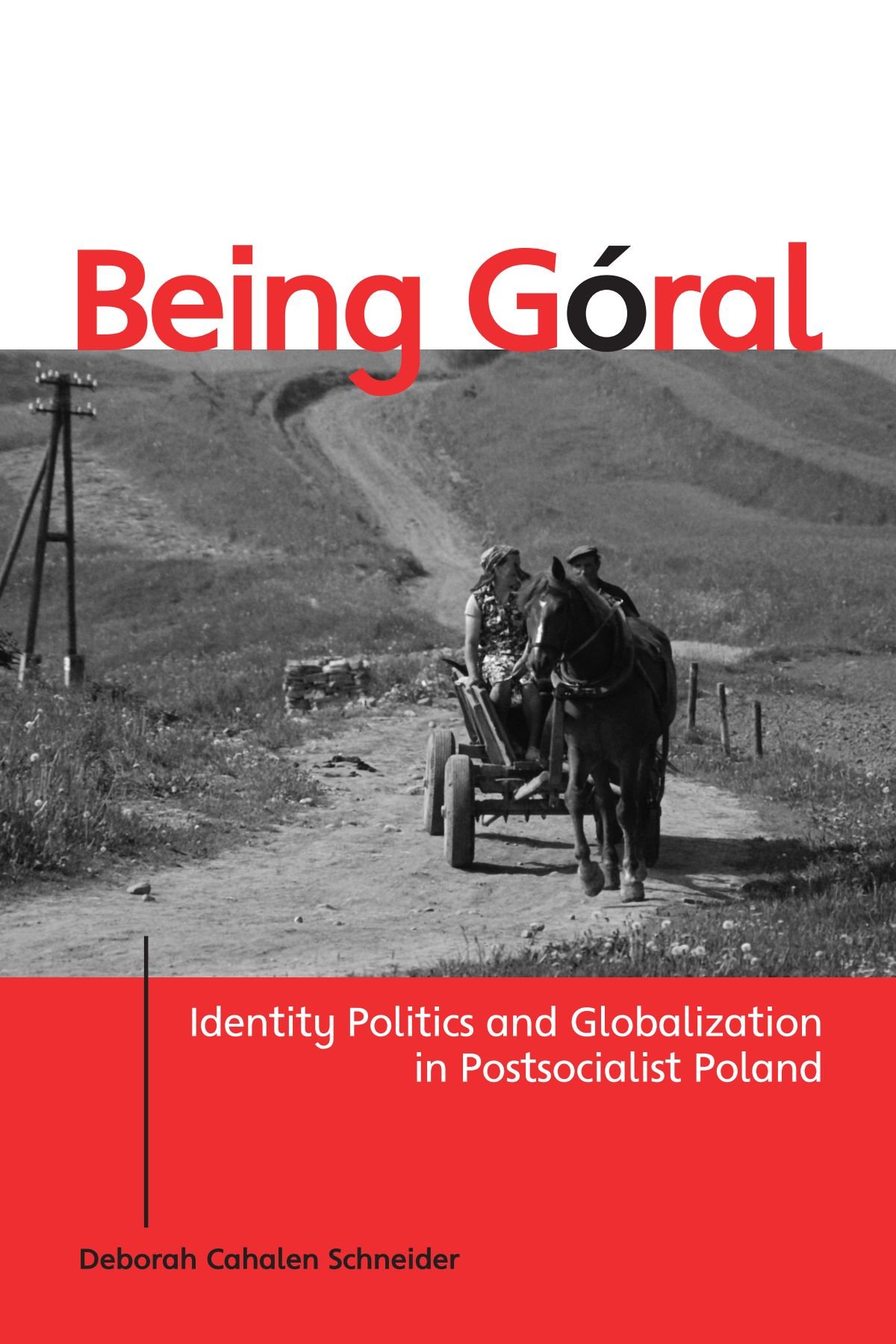 Being Goral: Identity Politics and Globalization in Postsocialist Poland (National Identities)