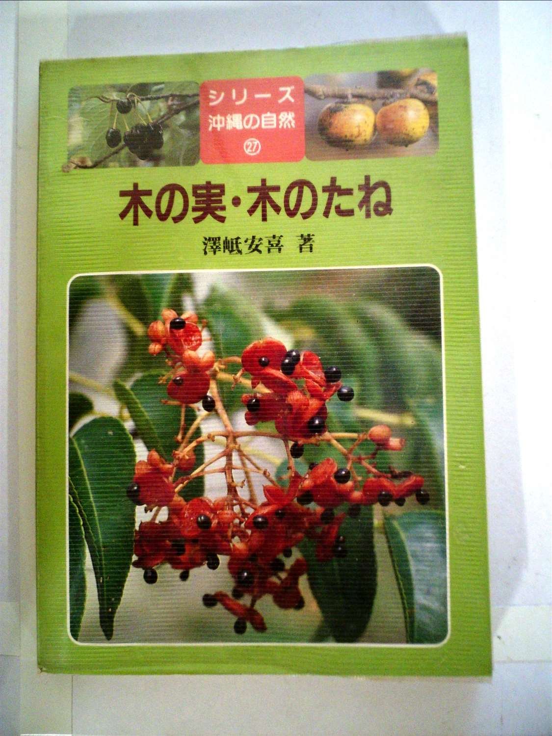 木の実 木のたね 19年 シリーズ沖縄の自然 27 沢岻 安喜 本 通販 Amazon