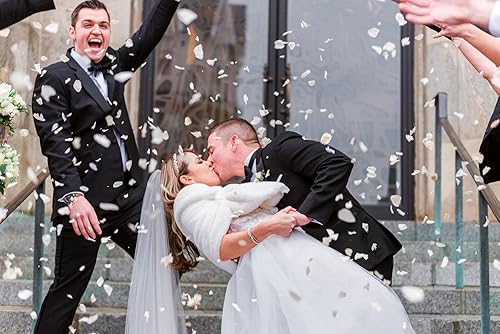 Miniatura 4 de Pétalos de rosa liofilizados conservados de color morado apasionado ultra violeta - Venta en 15 tazas. Fabricado en los Estados Unidos. Sin