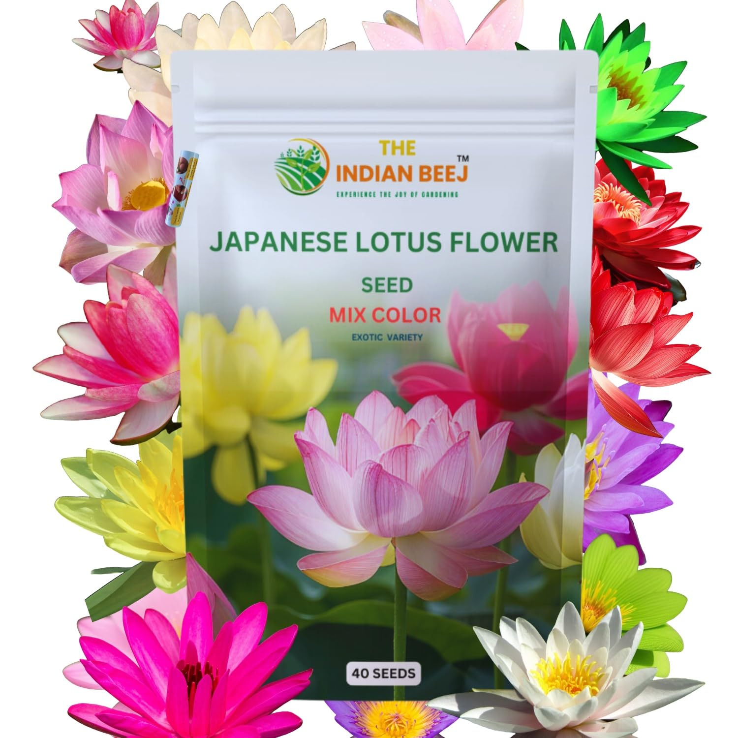 Hybrid Japanese Lotus Flower Seeds | 95% Germination Rate | 40 Seeds | Dwarf Rainbow |Kamal Gatta Beej | Mix Of 12 Color | Exotic Variety |Included - Free Sandpaper+Instruction Manual (B0DHHDKFP4) Amazon Price History, Amazon Price Tracker