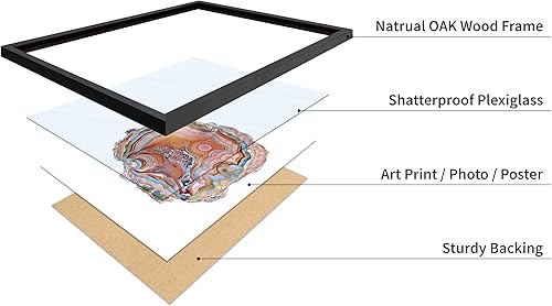 Vista 165 de Poster Master Póster de alpaca – Impresión de alpacas en pastizales – Arte de fotografía – Regalo para hombres, mujeres y amantes de los animales