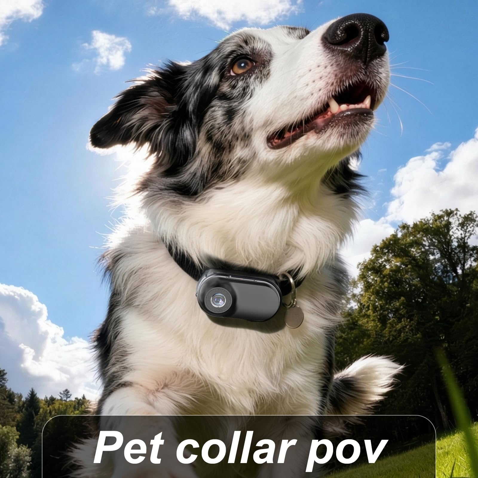 Mini Body Cam mit Magnetgurt, freihändige POV Kamera 26g inkl.Speicherkarte，Action cam für Motorradhelm，Radfahren & Vlogging,Haustier Schwarz