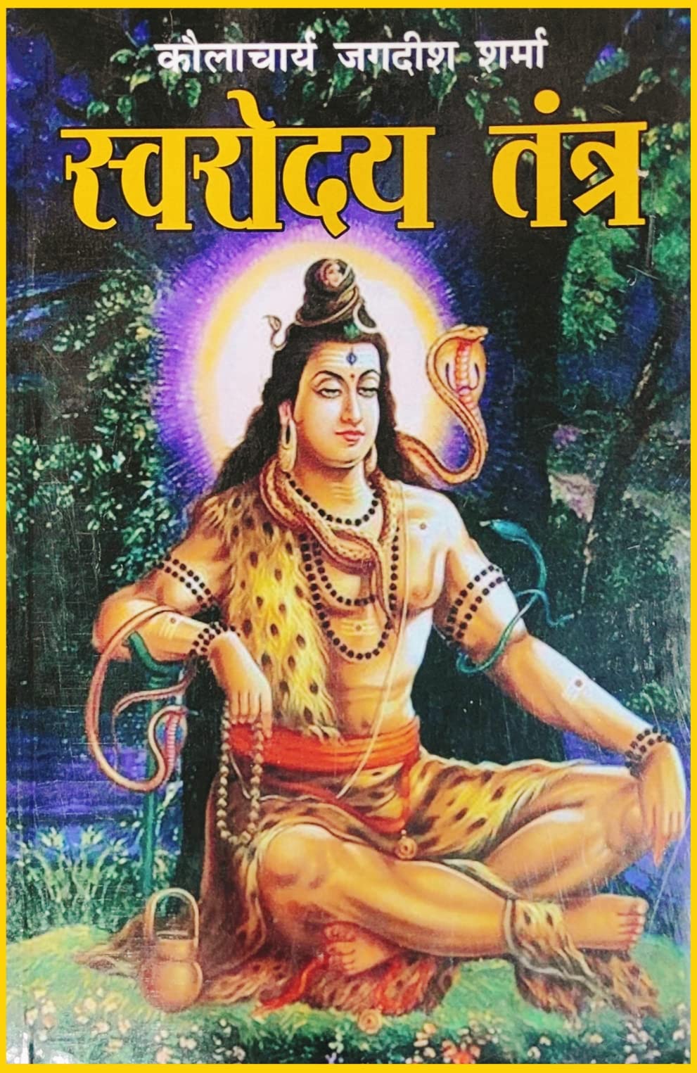 Aradhya Shiv Sarvoday tantra book