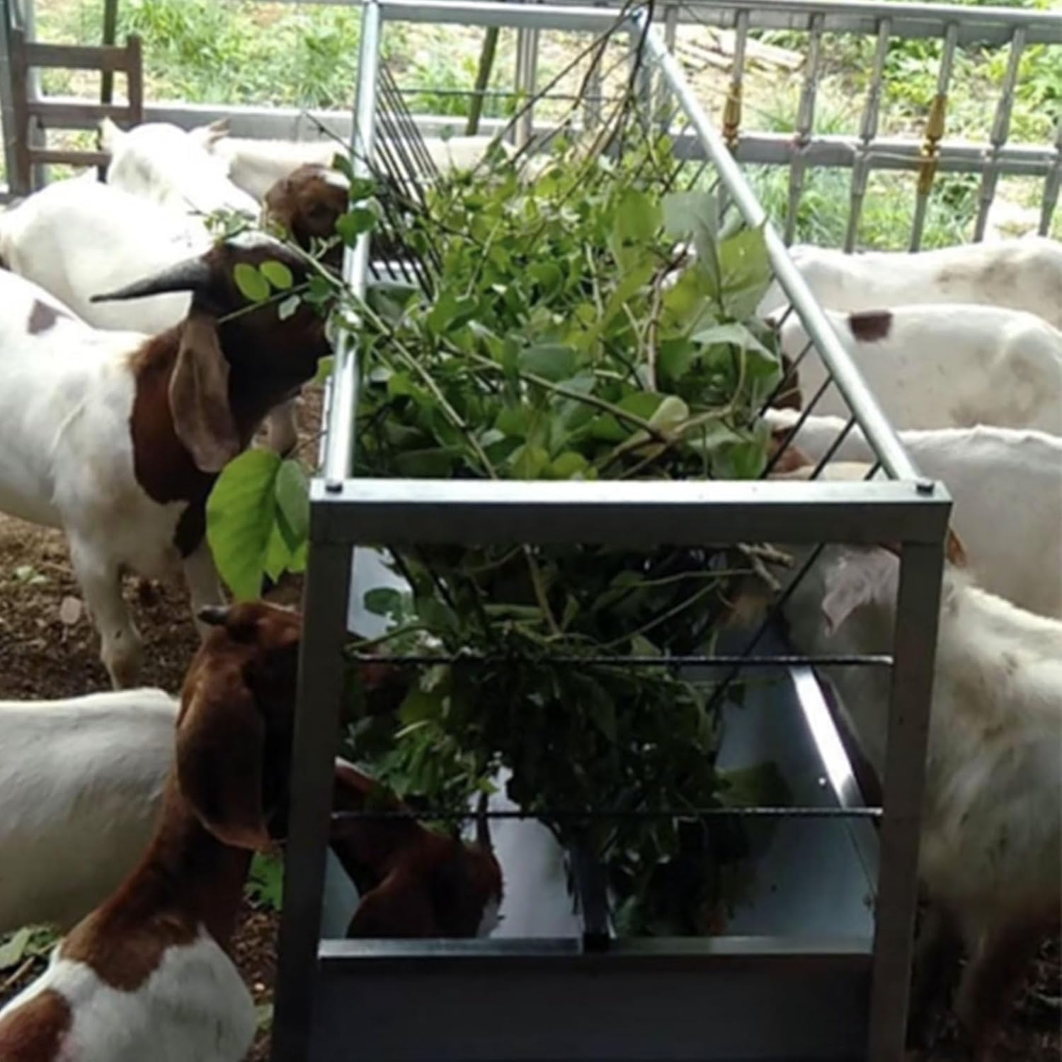 88 Gallon Goat Hay Feeder, 60" Length Goat Feeder, Heavy Duty Galvanized Steel Hay Rack, Non-Slip Base, Ease of Assembly, Feeding Hay Feeder for Goats, Sheep, Horses (Galvanized Steel, 1)