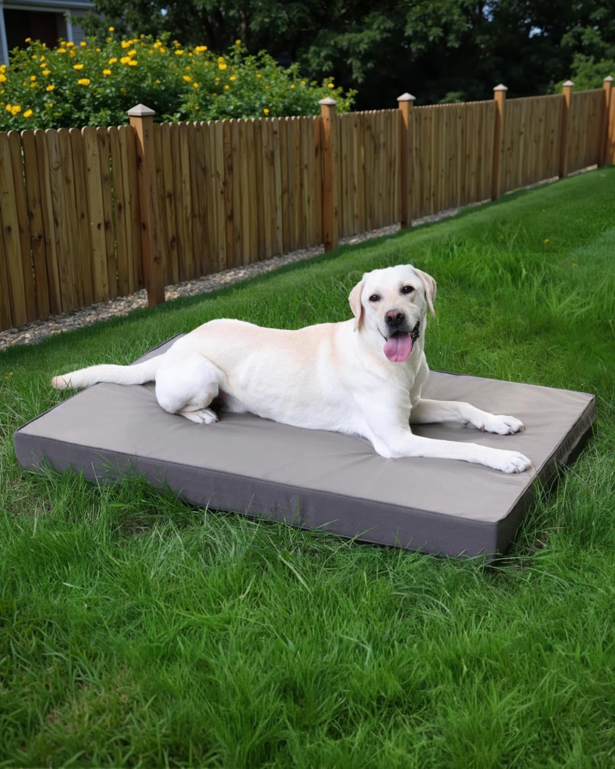 Ortopédica Cama Perros Medianos,Doble Cara De Cuero Sintético,Iimpermeable Cama de Perros,Funda Extraíble Lavable,Gris,88x55x7cm