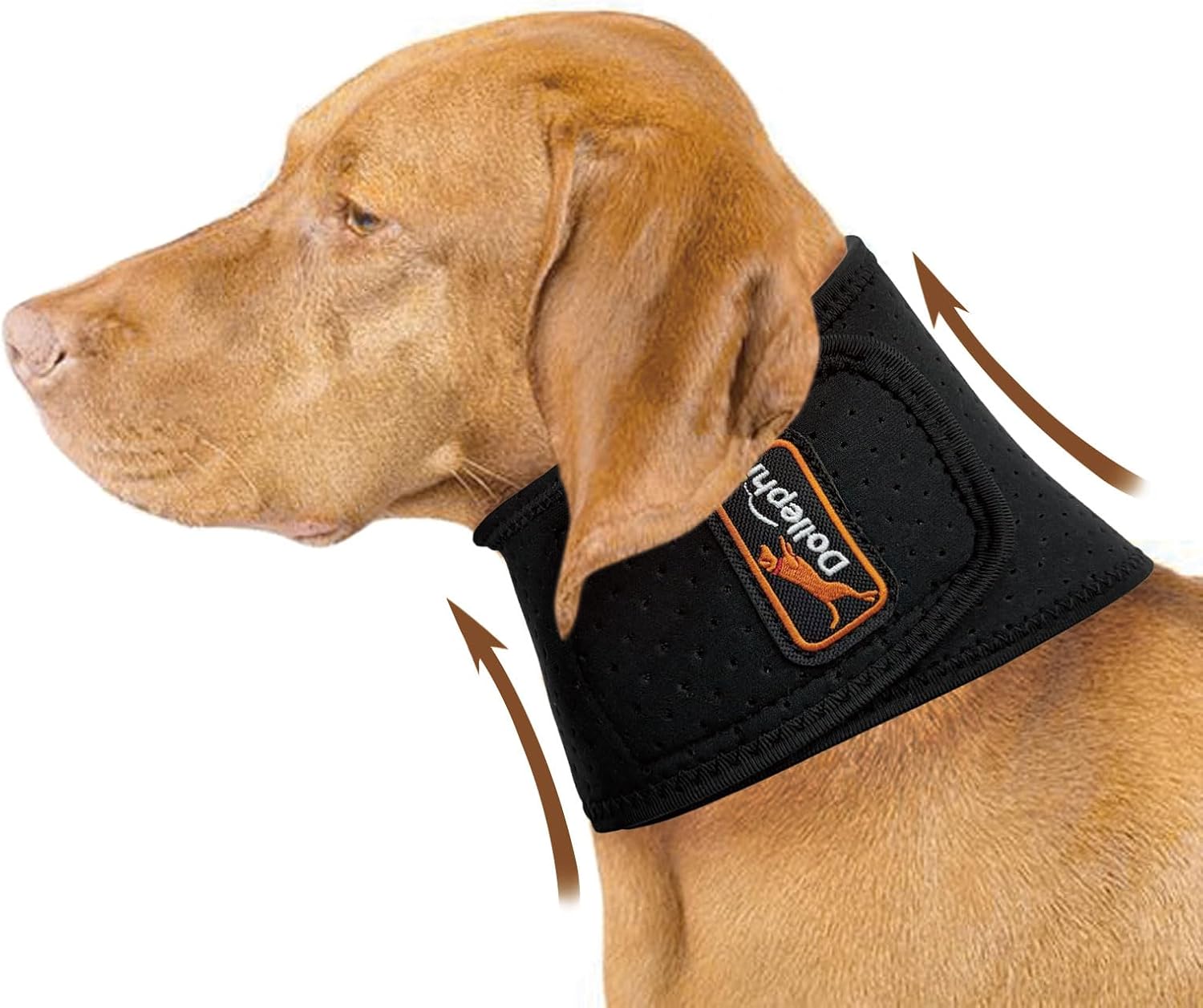 Dog Neck Brace with Hot/Cold Compress, Cervical Spine Support Collar for Dogs with IVDD, Neck Pain, Injury & Post-Surgery Recovery(L)