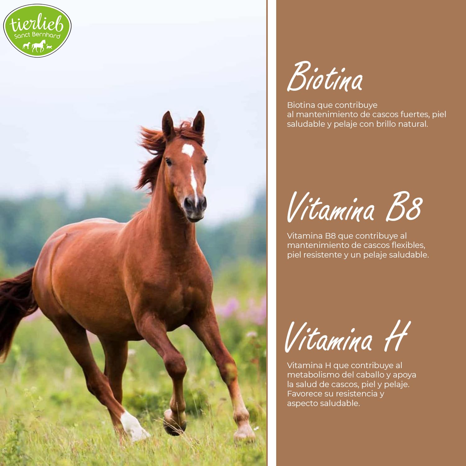 Biotina para Caballos – Pastillas para Cascos Fuertes y Flexibles, Mejora de Piel y Pelaje, Vitamina B8 para Equinos – 50 Días, Fácil Dosificación